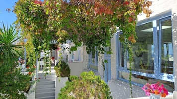 Jardin