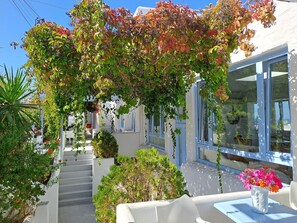 Garden - Stratos Studios & Apartments (Paros)