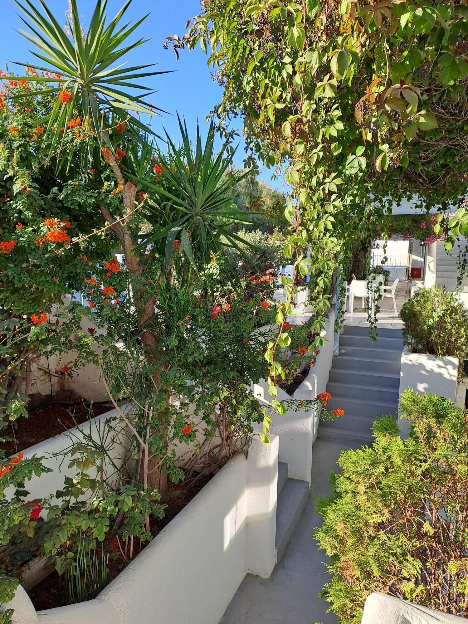 Photo - Stratos Apartments & Studios