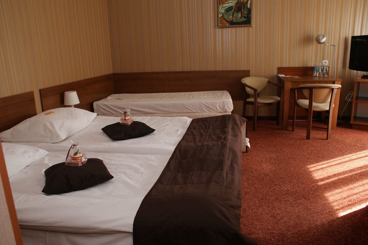 Habitación de hotel con dos camas, un escritorio, una silla, un televisor y un cuadro en la pared.