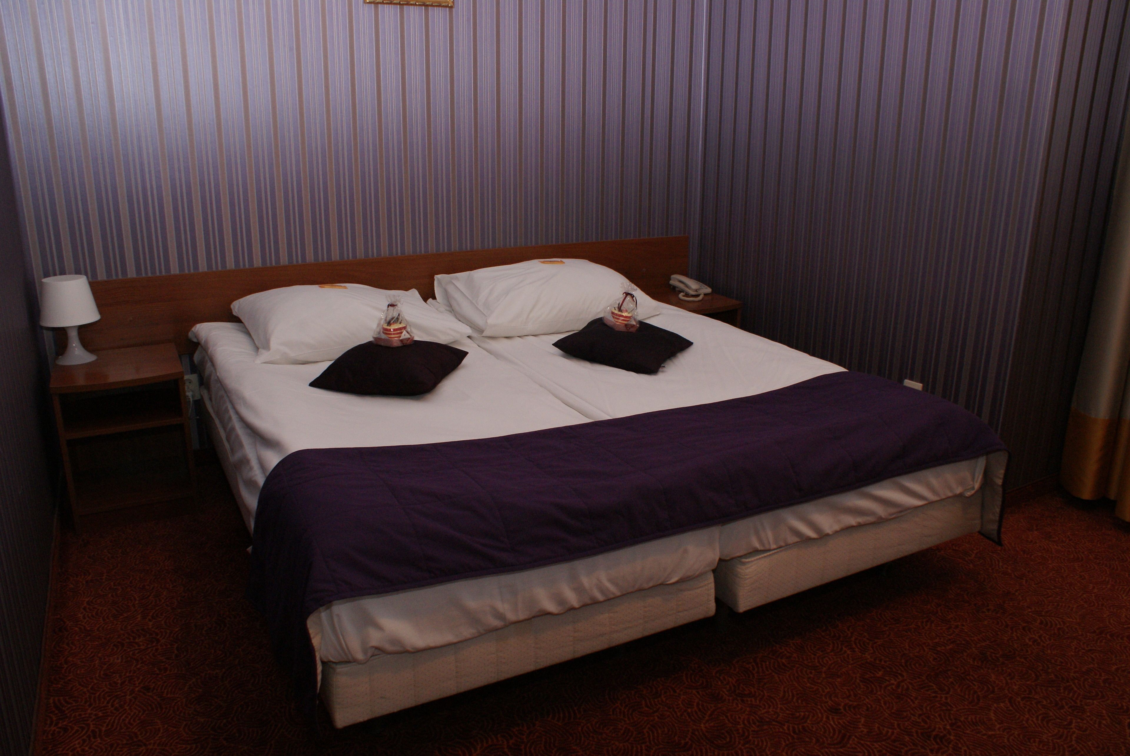 A hotel room with a large bed, two pillows, a bedside table with a lamp, and a telephone.