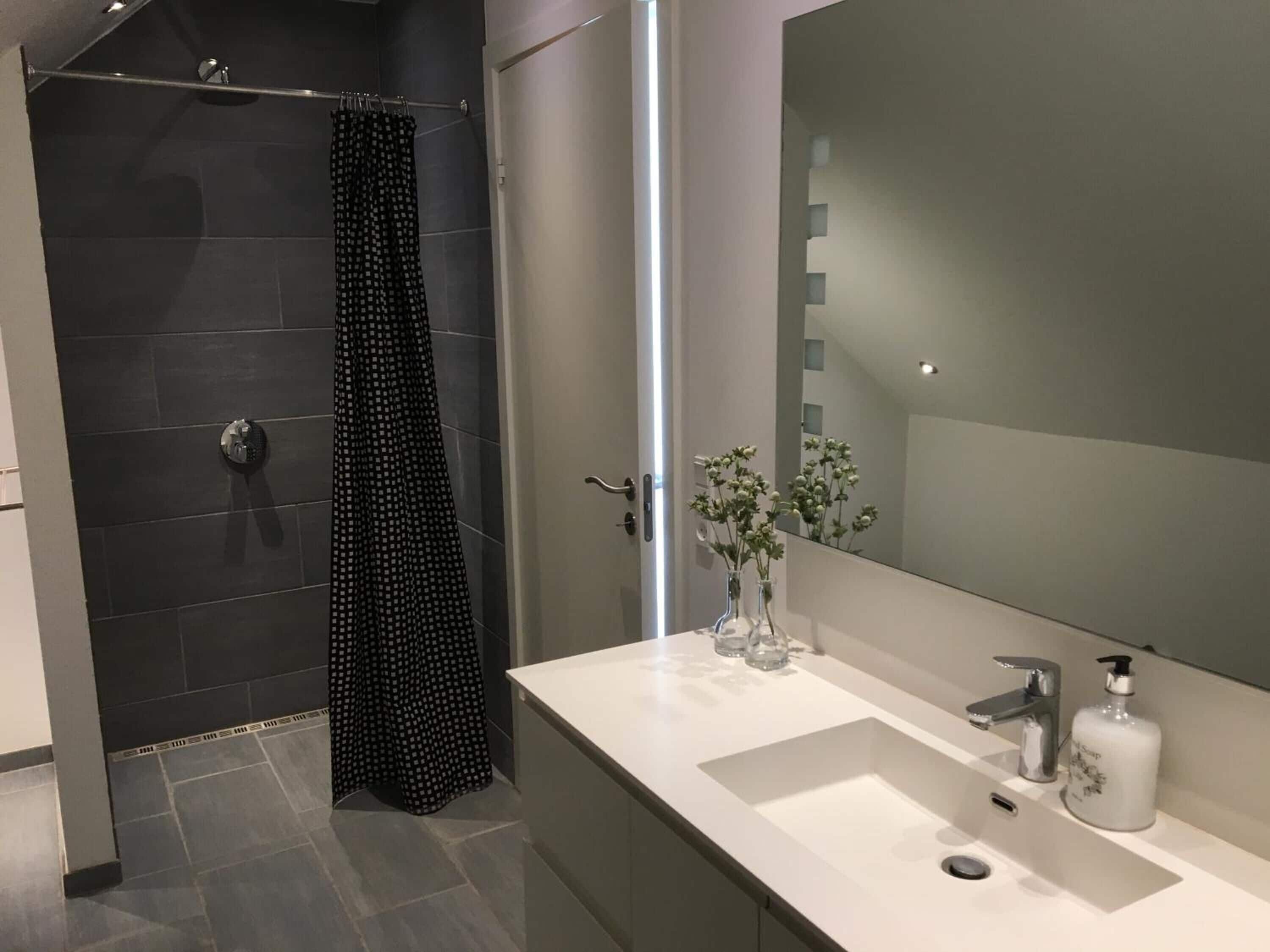 A modern bathroom with a shower, a sink, and a mirror.