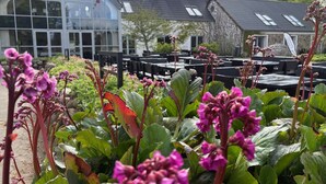 A building with large windows and a garden area with pink flowers and green foliage. - Tollundgaard Golf Park (Silkeborg)