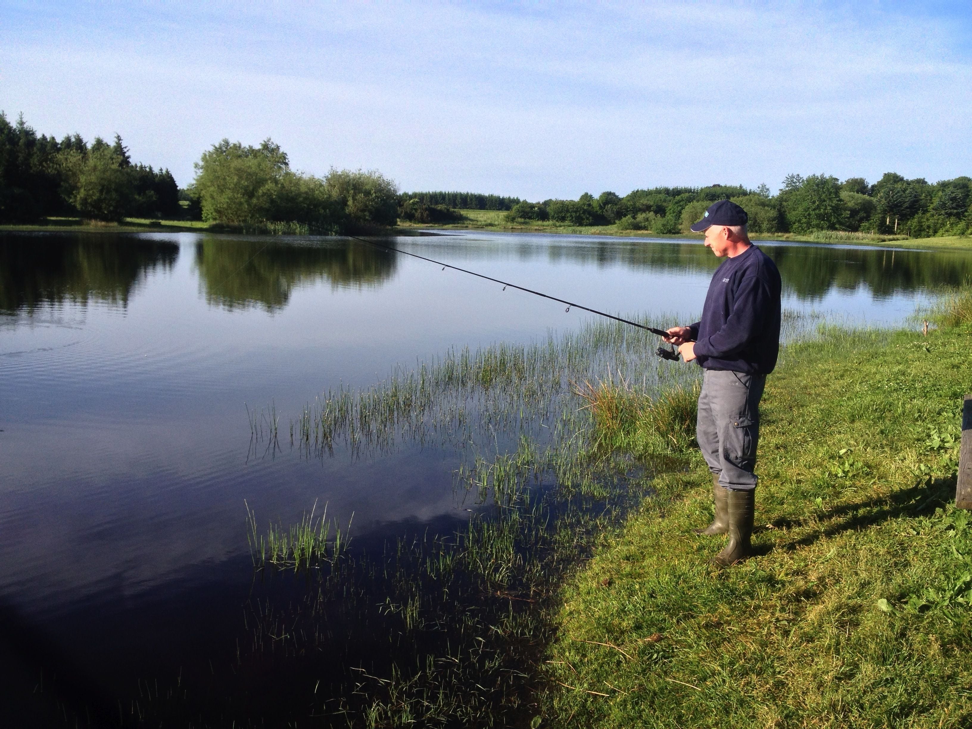 A person fishing by a calm lake with grassy banks and trees in the background.