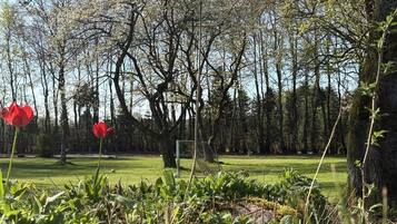 Un terrain de golf avec deux tulipes rouges au premier plan, entouré d’arbres et de verdure.