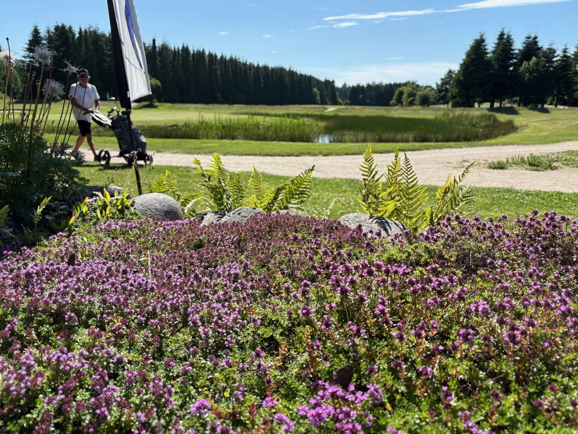 leilighet for to personer | Utsikt fra rommet