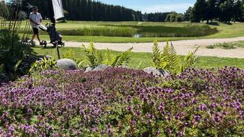 leilighet for to personer | Utsikt fra rommet