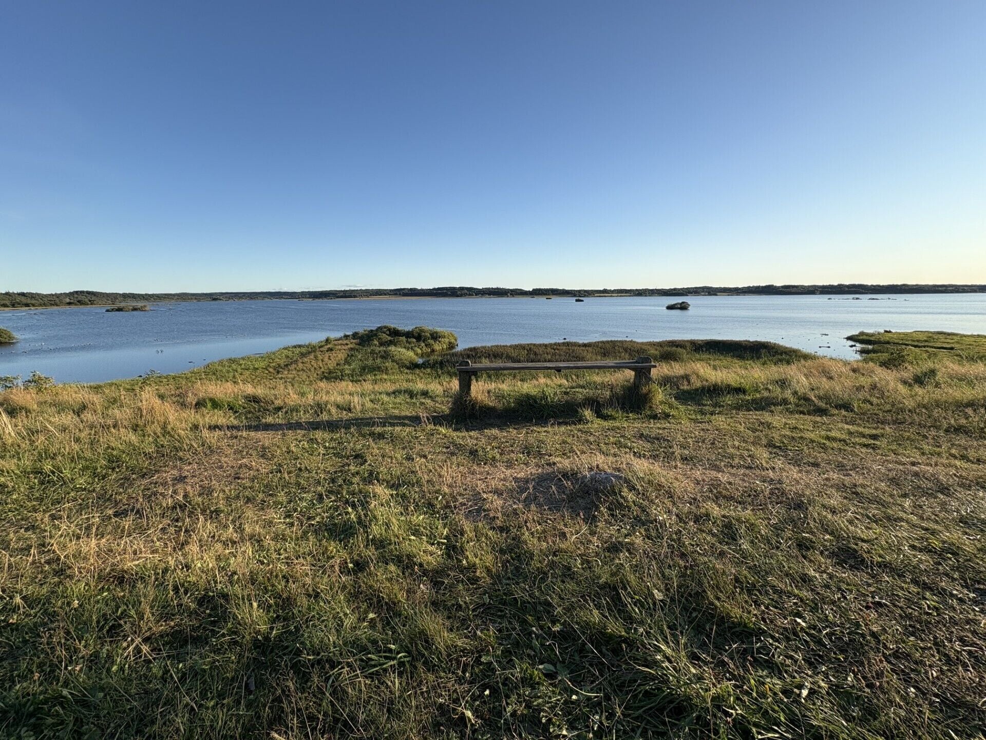 A grassy area with a bench overlooking a calm body of water.