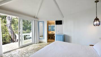 Classic Room | View from room