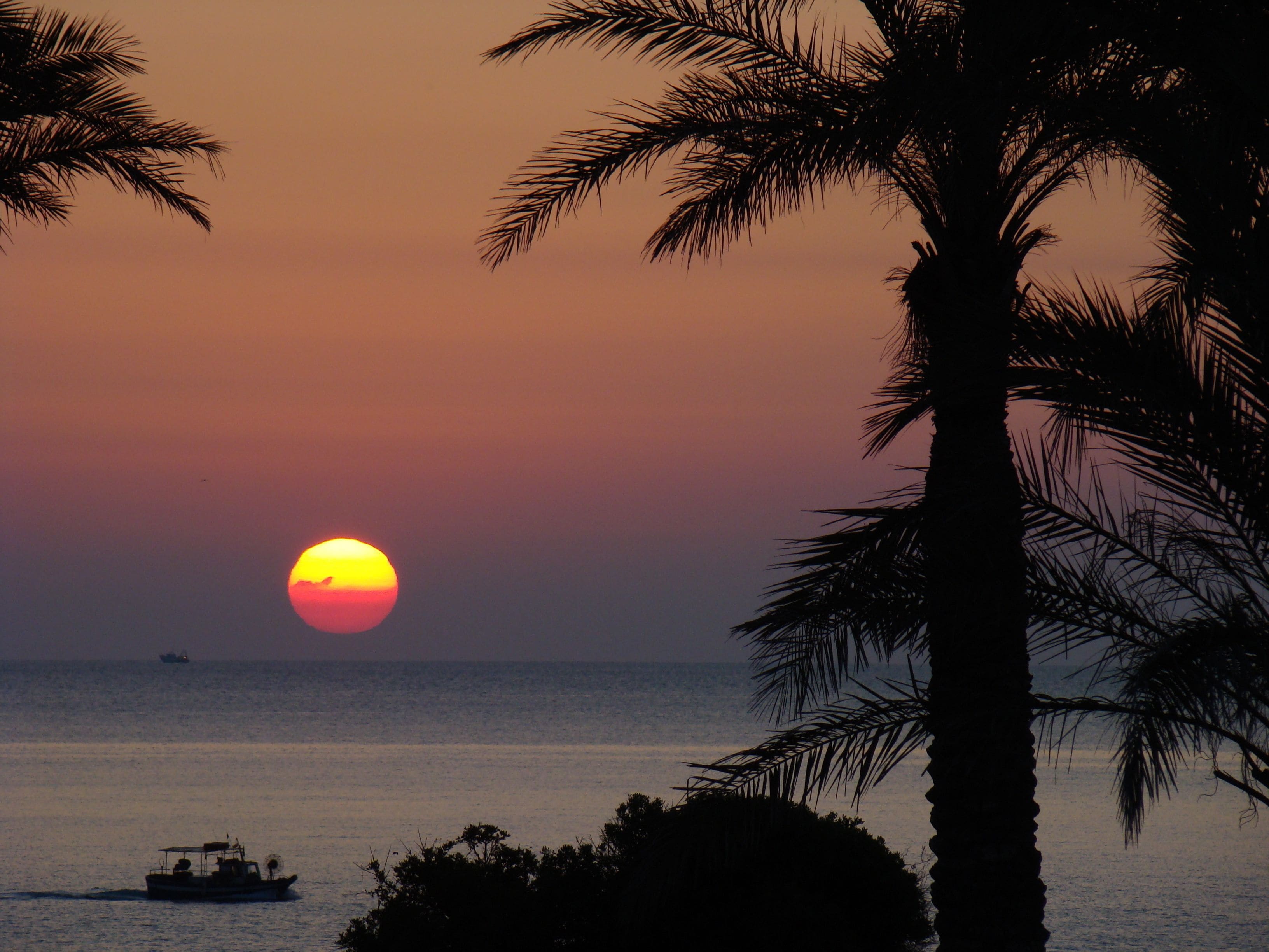 Private beach, sun loungers, beach umbrellas, beach towels
