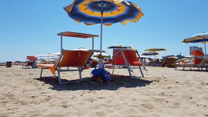Una playa con múltiples tumbonas y sombrillas.
