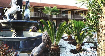 Savannah Inn and Suites