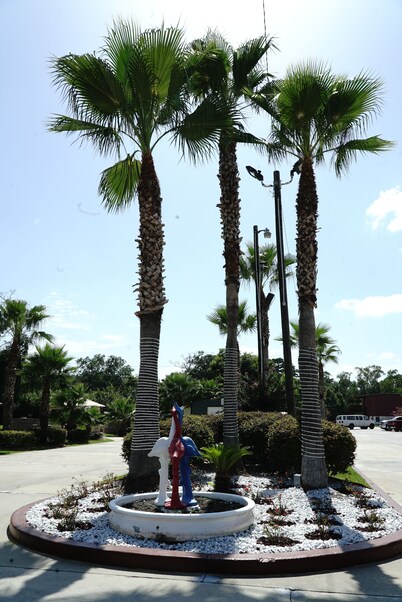 Savannah Inn and Suites