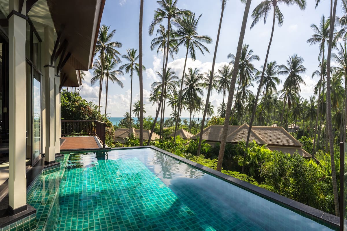 A swimming pool with a view of palm trees and a distant ocean.