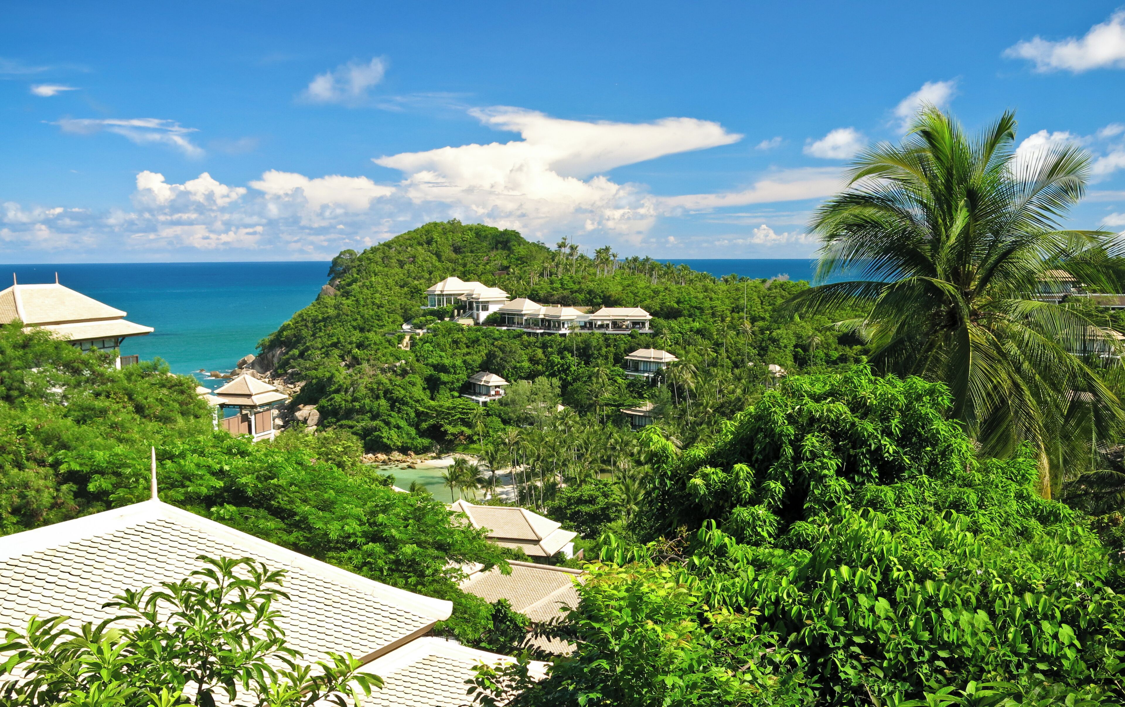 Un resort tropical con varias construcciones rodeadas de abundante vegetación y vista al océano.