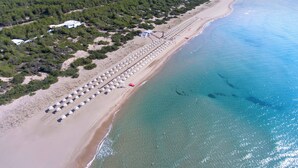 Vista aérea de una playa con hileras de sombrillas y tiendas de playa, una orilla arenosa y un área boscosa al fondo.