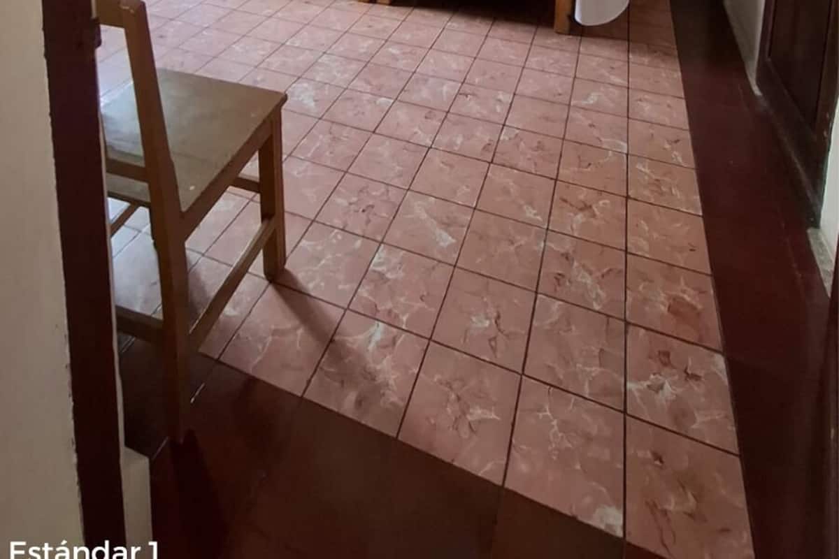 Suite estándar | Ropa de cama de alta calidad y edredones de plumas