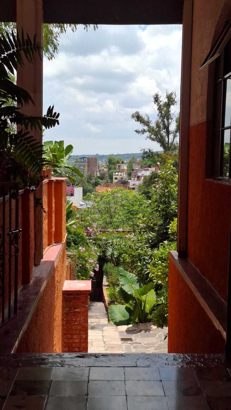 Une vue à travers une porte qui donne sur un jardin, avec un chemin en briques et une végétation luxuriante.