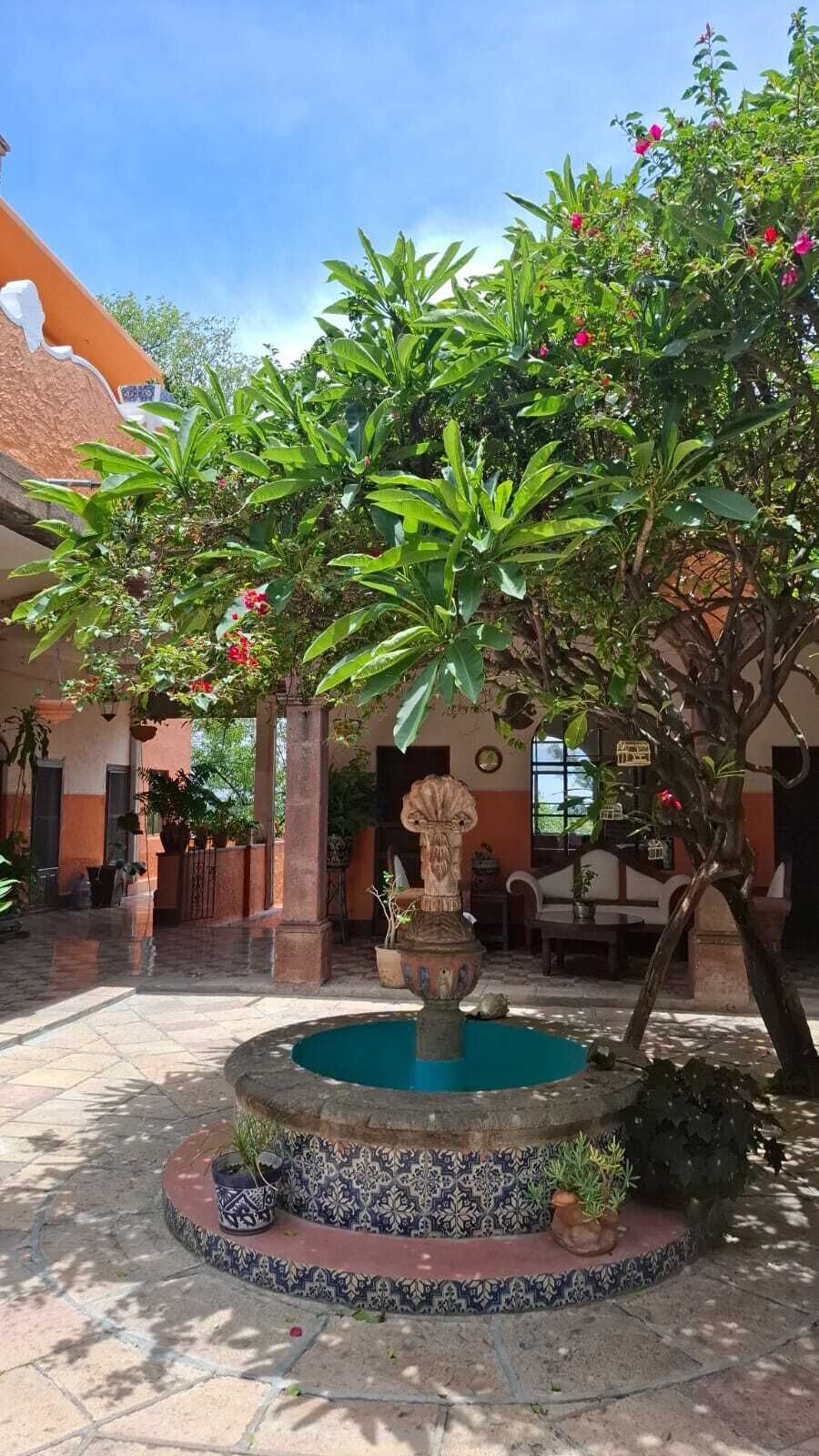 A courtyard with a fountain, potted plants, and a statue.