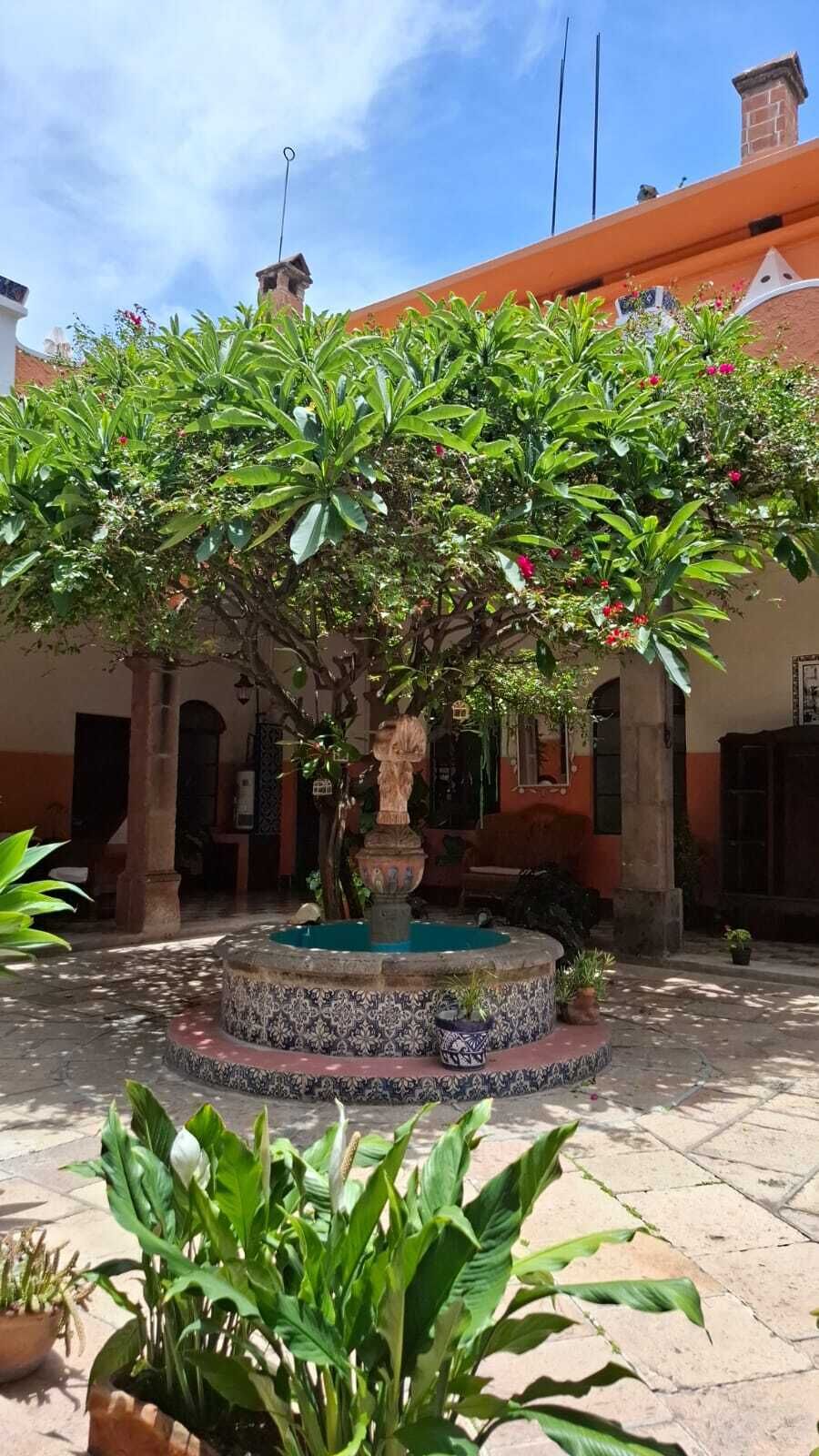 Un patio con una fuente, rodeado de macetas con plantas y un edificio con arcos.