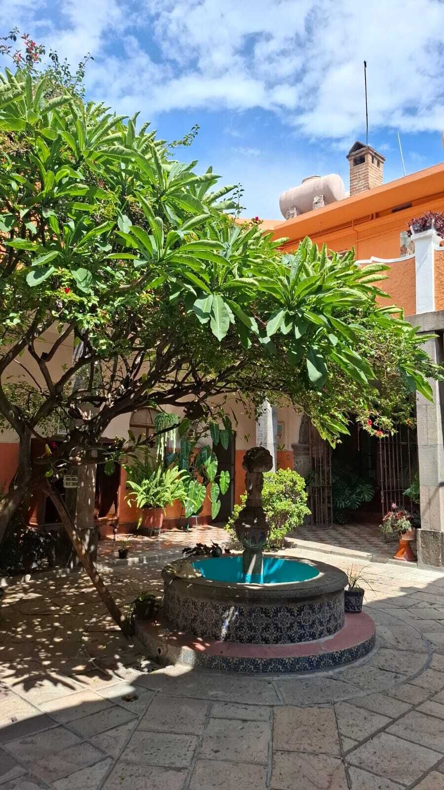 Terraço/pátio