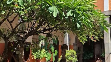 Terraço/pátio