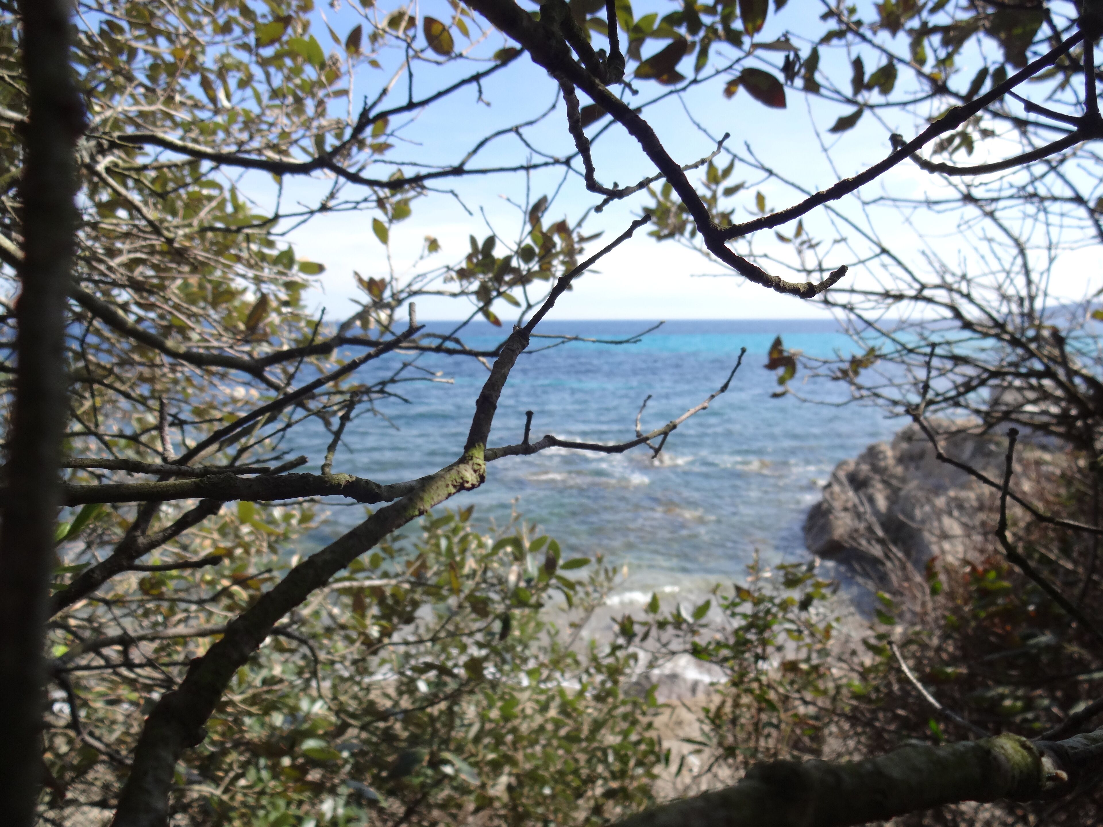 Une vue côtière avec des falaises rocheuses et une vue dégagée sur la mer.