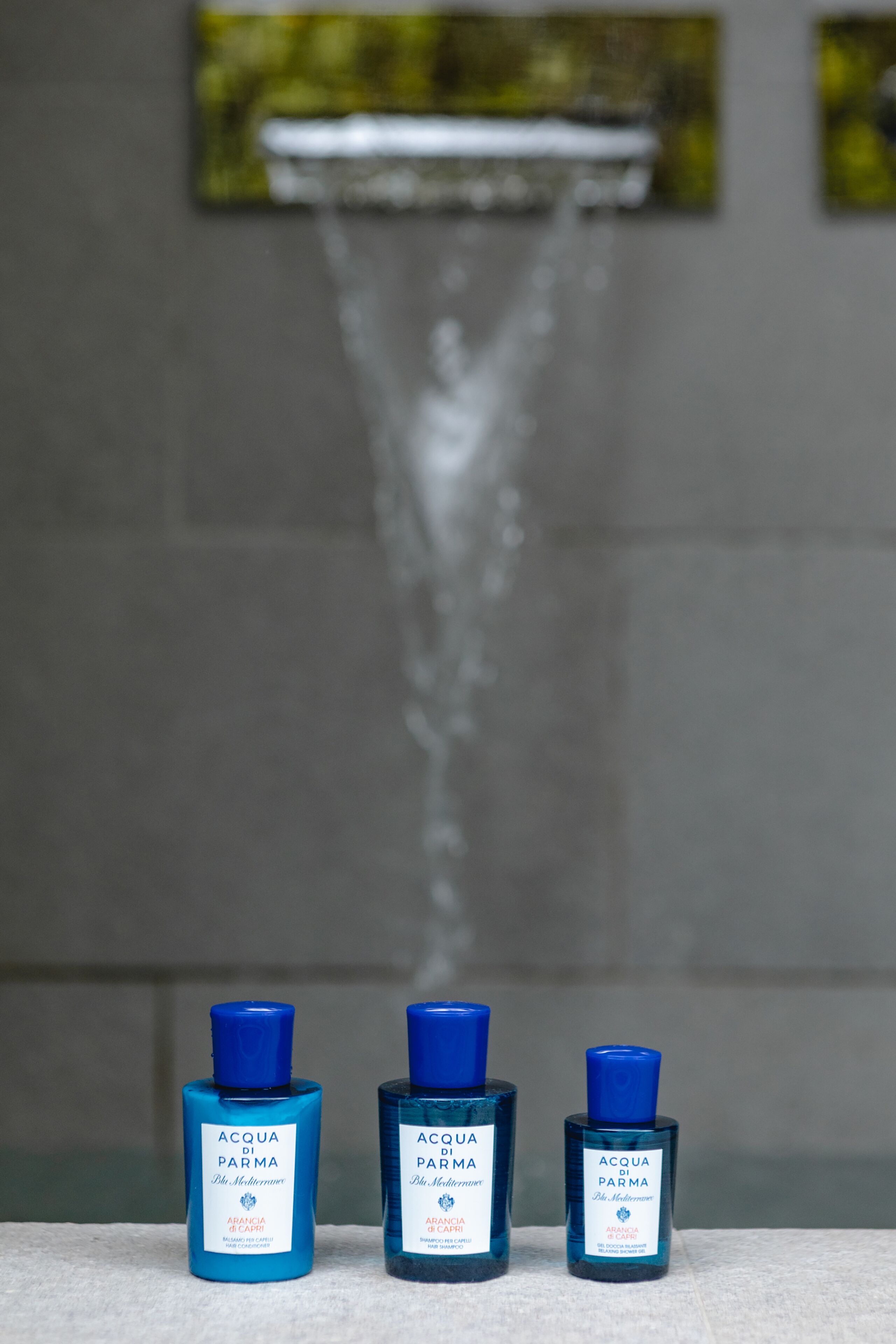 designer toiletries, hair dryer, bathrobes, slippers