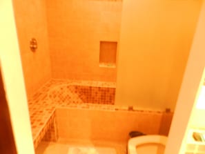 Un baño con bañera, inodoro y zona de ducha.