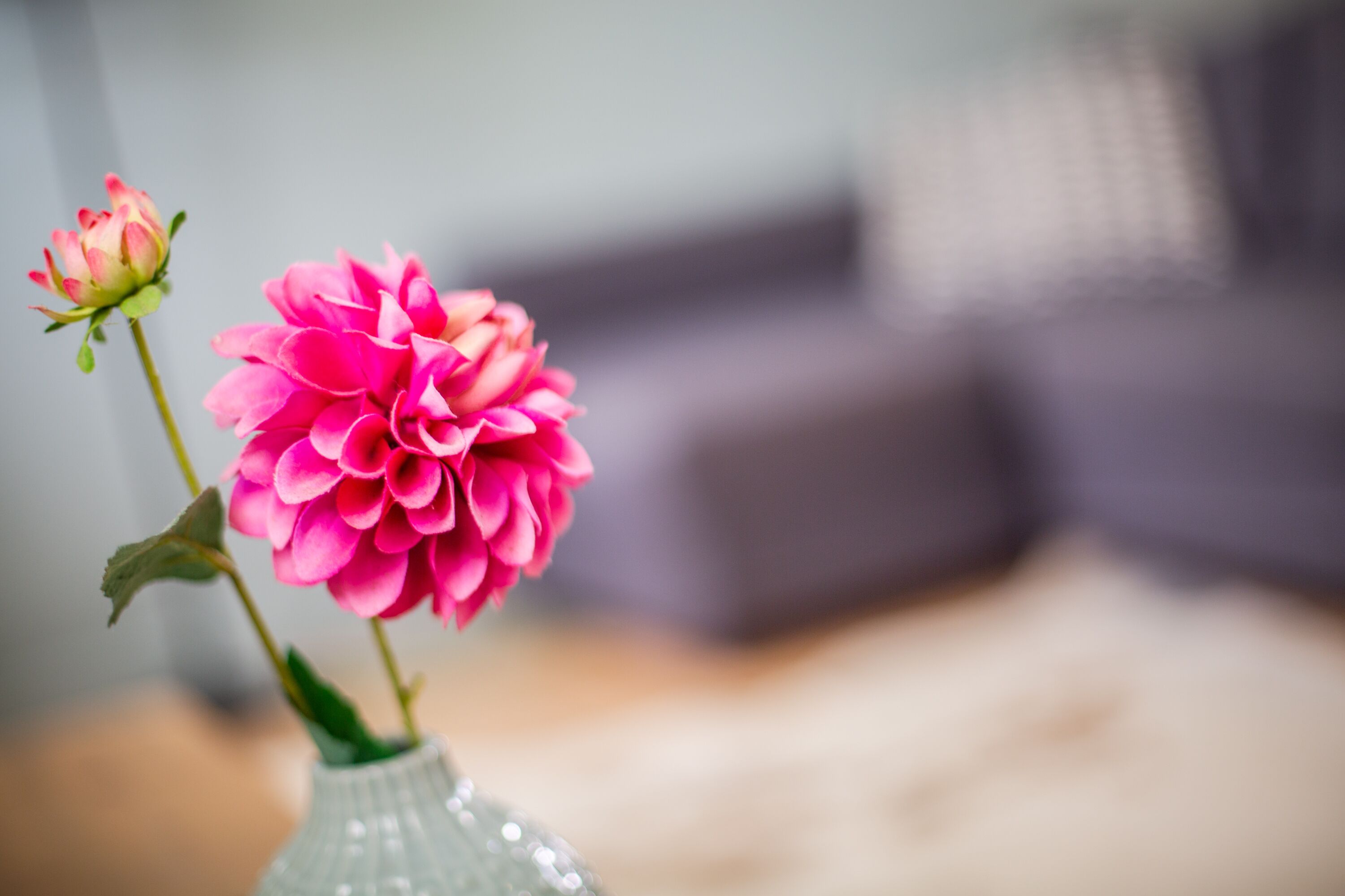 Foto - Boutique Hotel t Klooster