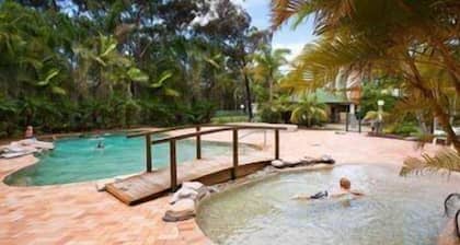 Gateway Lifestyle Lorikeet