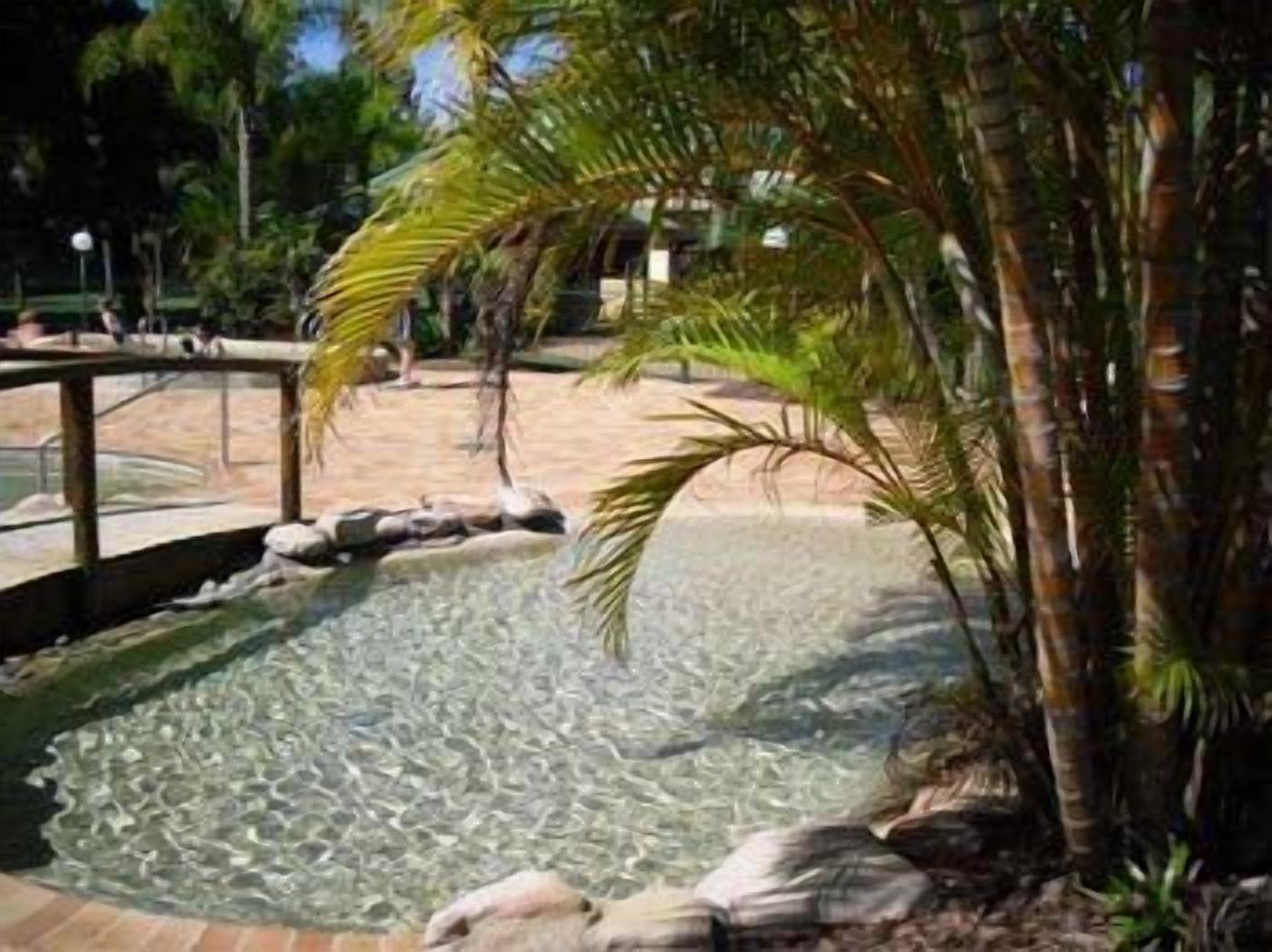 A water feature with a clear pool, surrounded by rocks and palm trees.