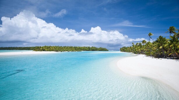 A beach with clear turquoise waters, white sand, and palm trees.