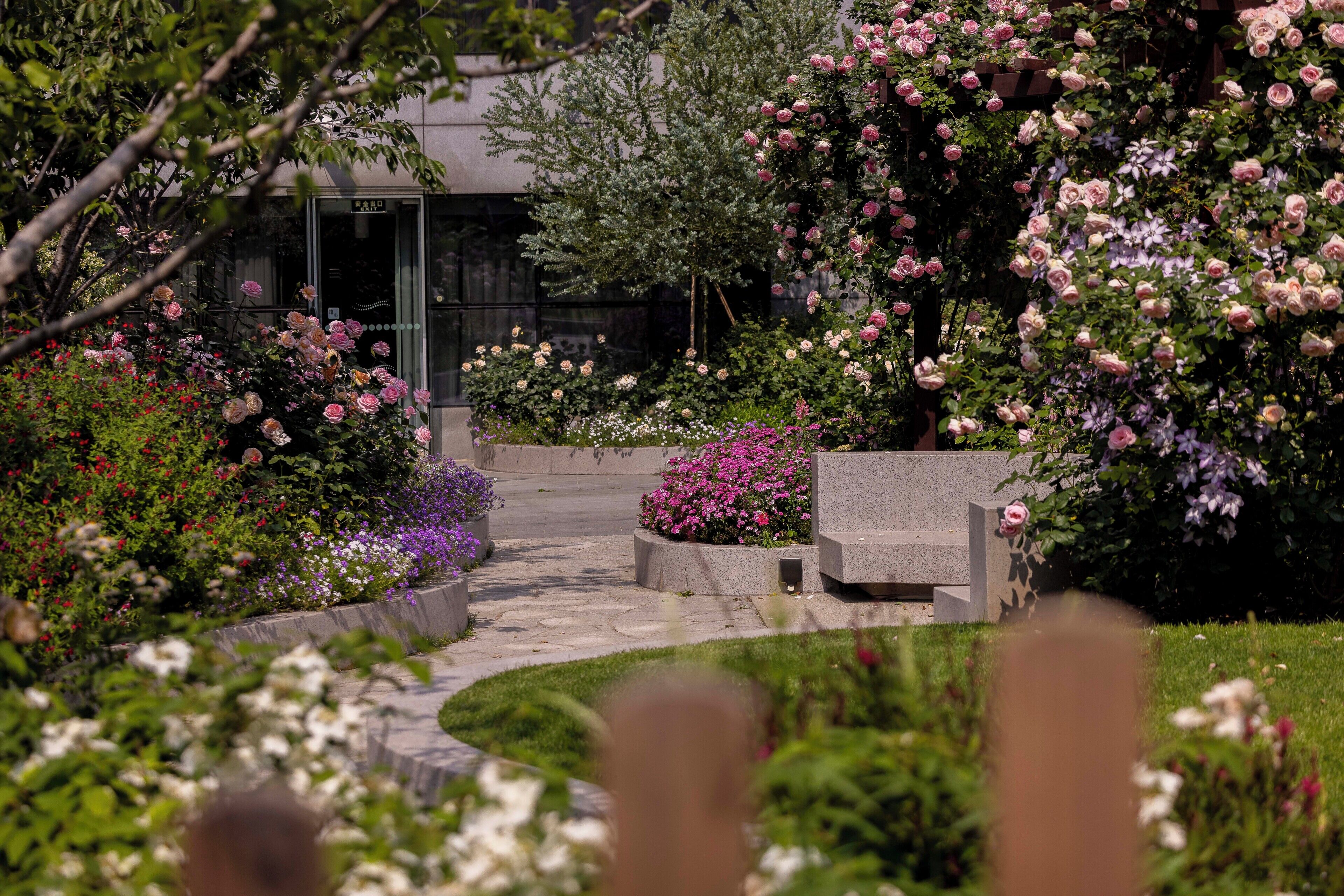 Un giardino con fiori diversi e un vialetto che conduce a un edificio.