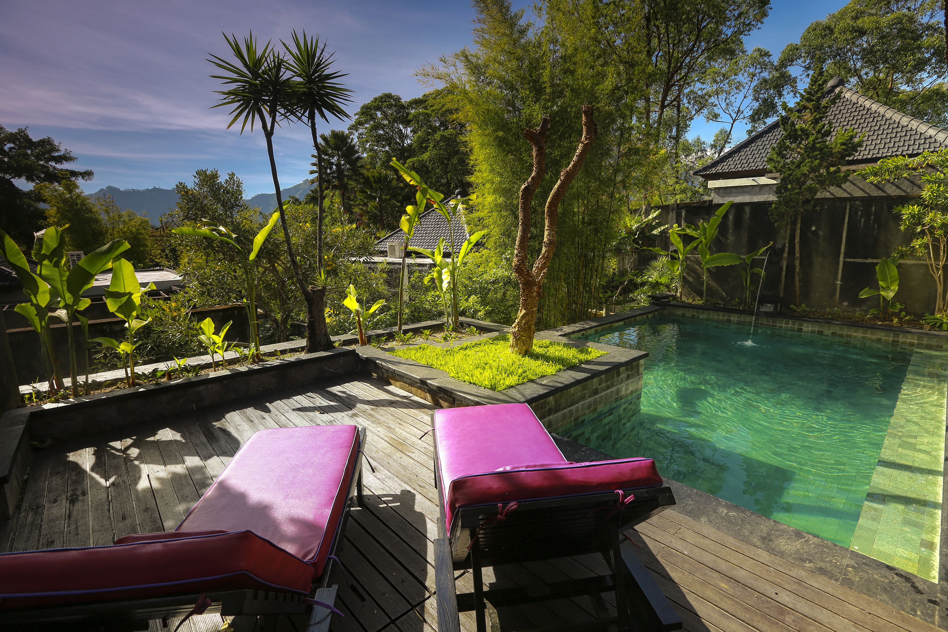 Deluxe-huvila, yksityinen uima-allas | Näkymä huoneesta