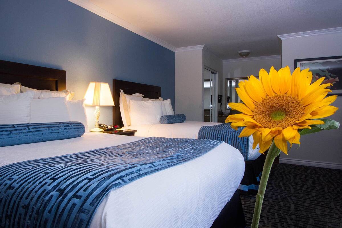 A hotel room with two beds, a nightstand with a lamp, and a large sunflower in the corner.