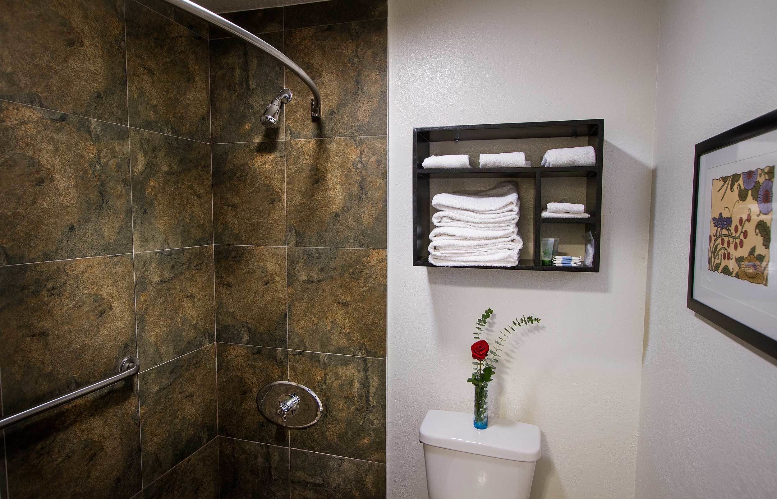 combined shower/bathtub, hair dryer, towels