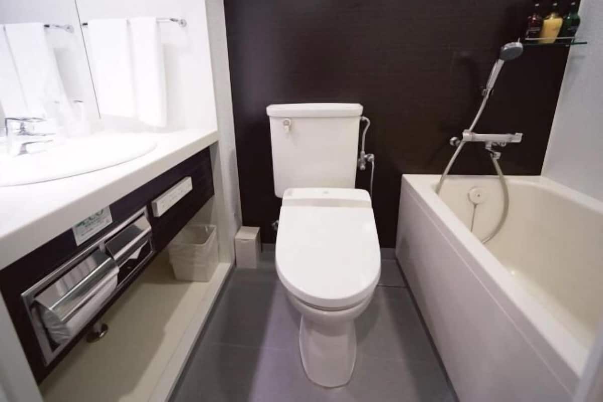 Combined shower/tub, free toiletries, hair dryer, slippers