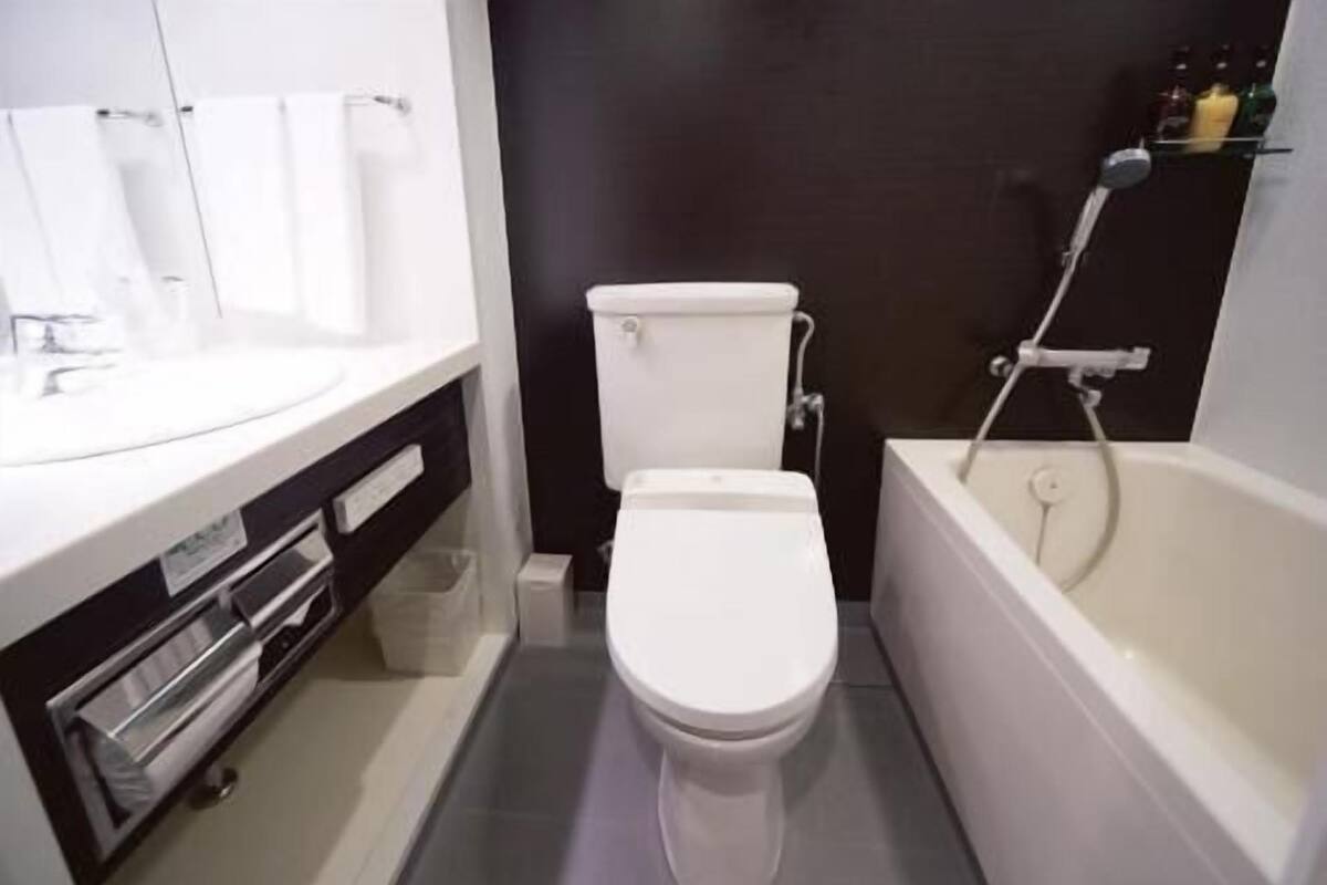 Bathroom | Combined shower/tub, free toiletries, hair dryer, slippers
