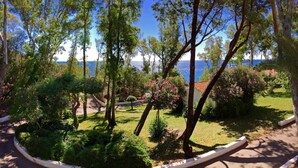 A garden with a pathway, trees, and a view of the sea.
