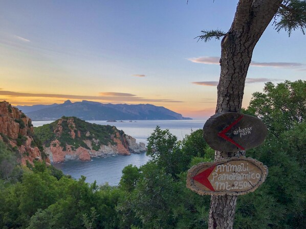 A natural landscape with a sign indicating 'Arbatax Park' and 'Amaldi Panoramico'.