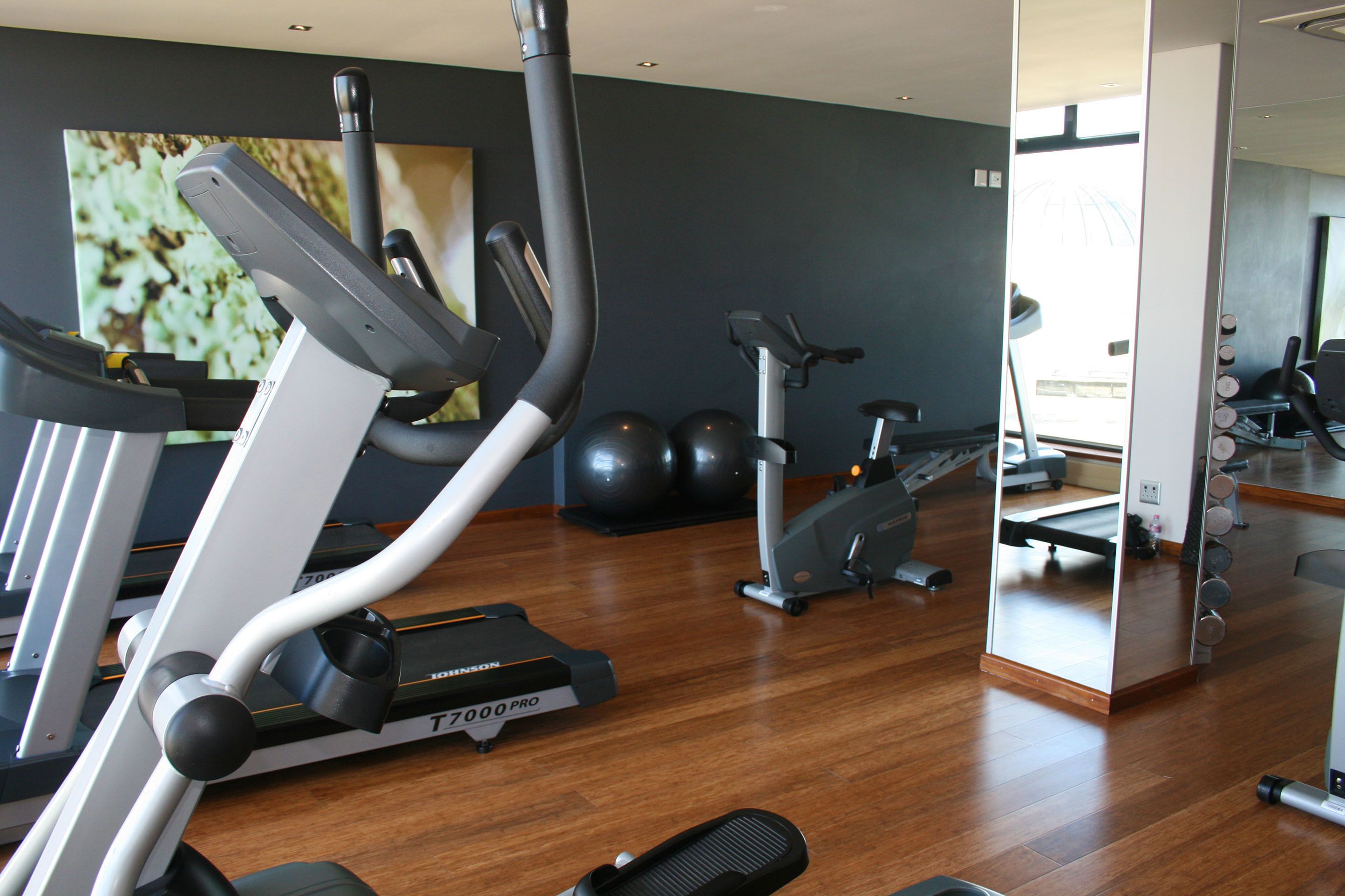 A gym with treadmills, stationary bikes, and exercise balls.