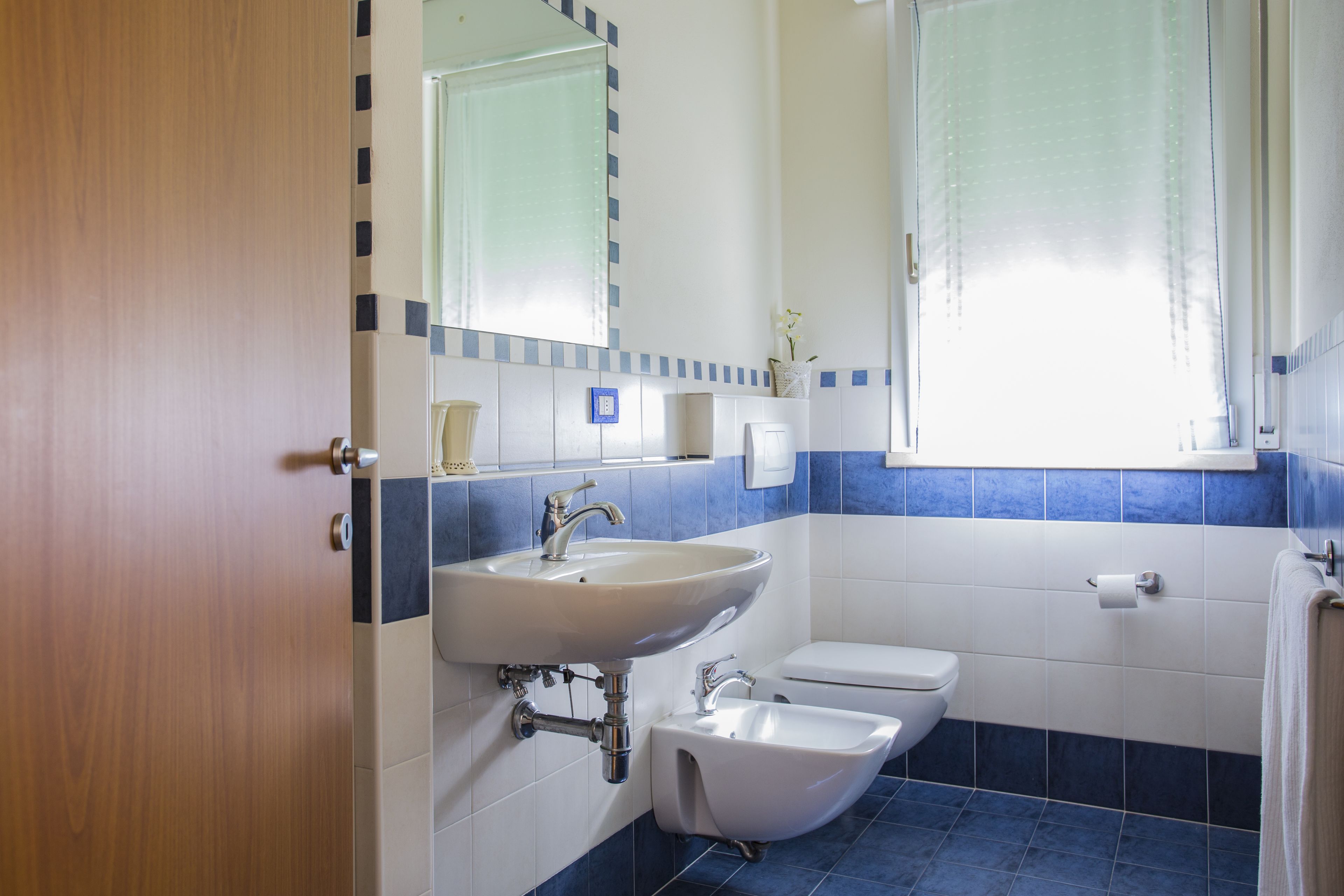 shower, free toiletries, hair dryer, bidet