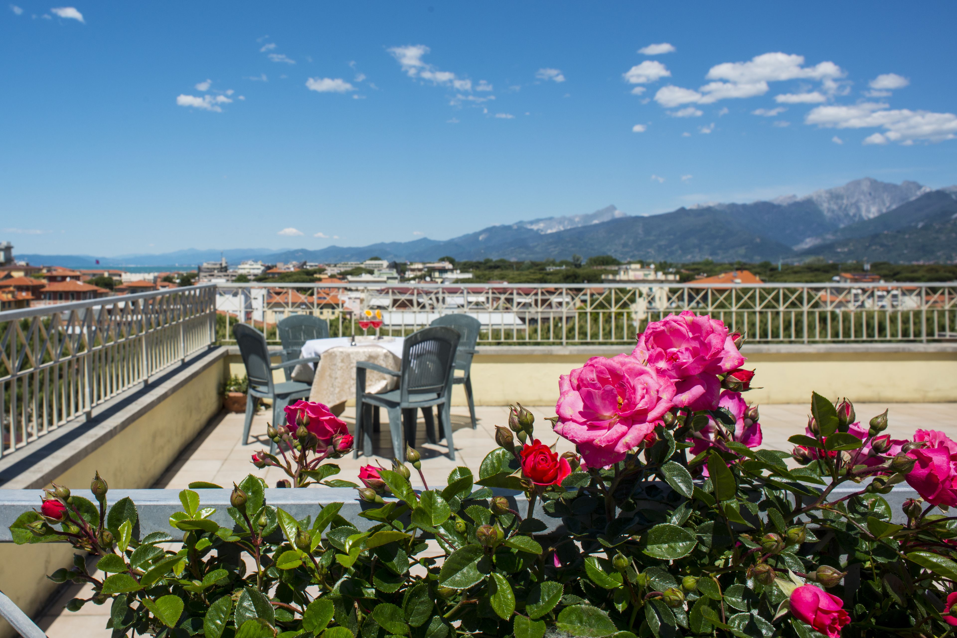 Eine Terrasse mit Tisch und Stühlen, umgeben von blühenden rosa Rosen, mit Blick auf eine malerische Berglandschaft.