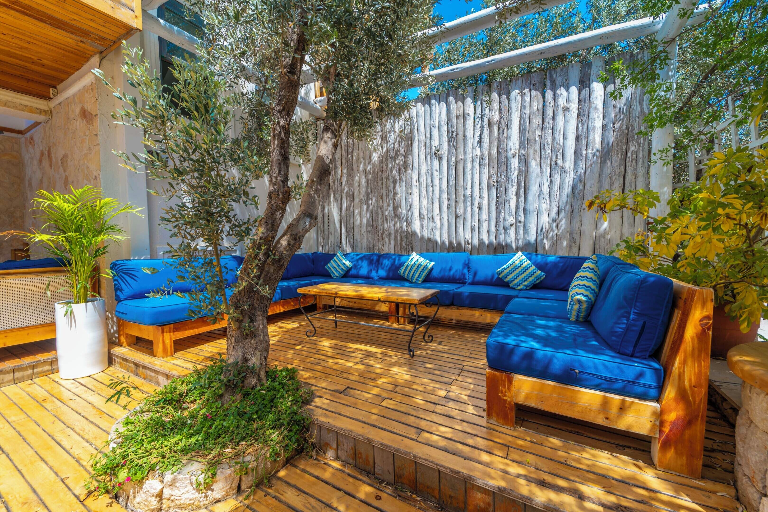 An outdoor seating area with a blue sofa, wooden table, and potted plants.