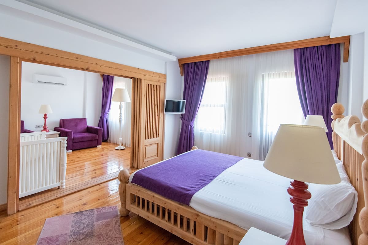 Minibar, WiFi (free), bed sheets