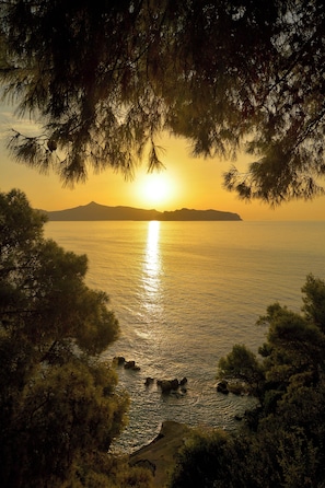 Un paisaje costero con atardecer, árboles y un mar tranquilo.