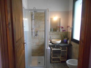 Regadera, secadora de cabello, bidet, toallas