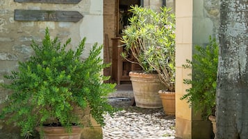 Jardin