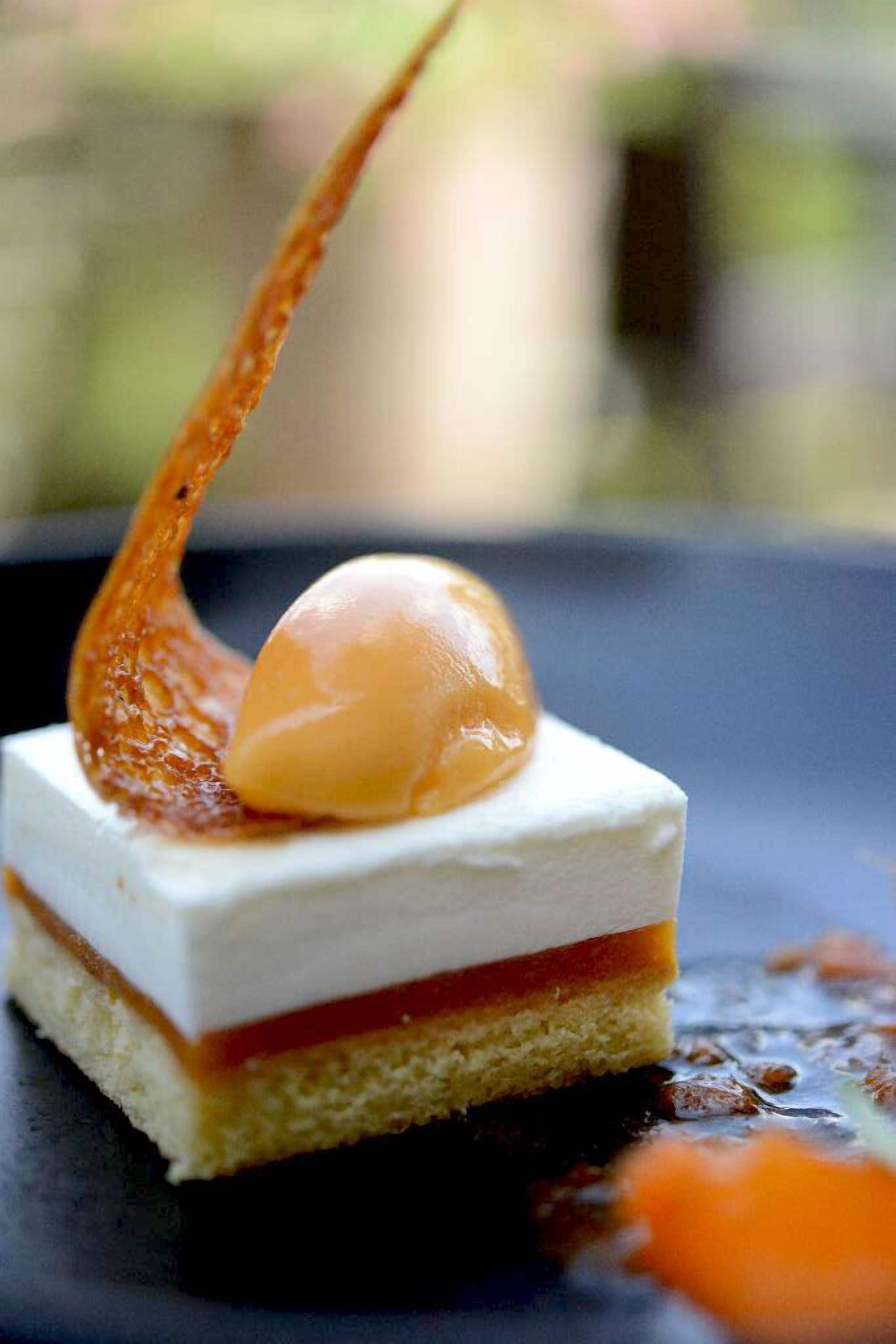 A dessert with a caramel sauce drizzle.
